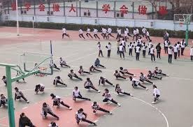 麻将高手的理性打法（麻将高手的科学策略）